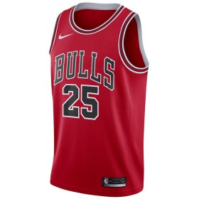 NBA Mænd Trøje Chicago Bulls Dalen Terry 25 2022-23 Nike Icon Edition Rød Swingman